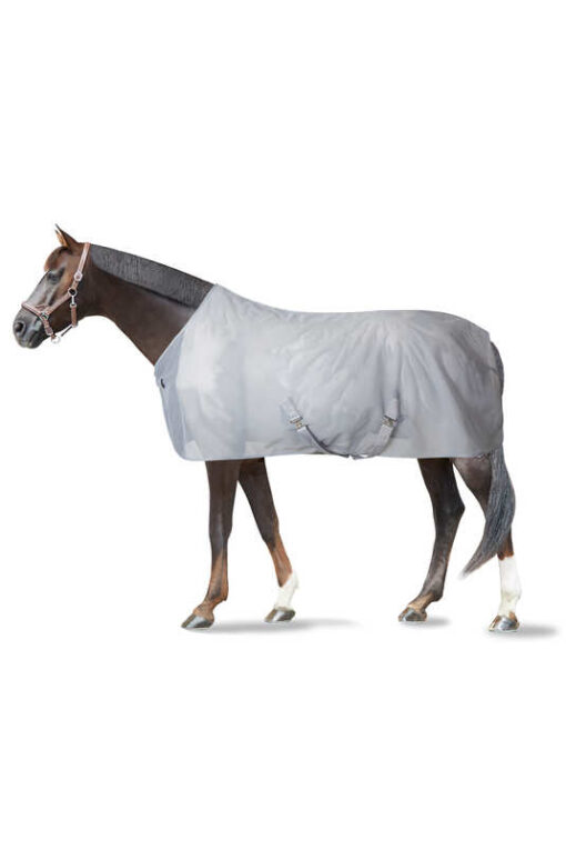 Orleans Fly Rug - Image 9