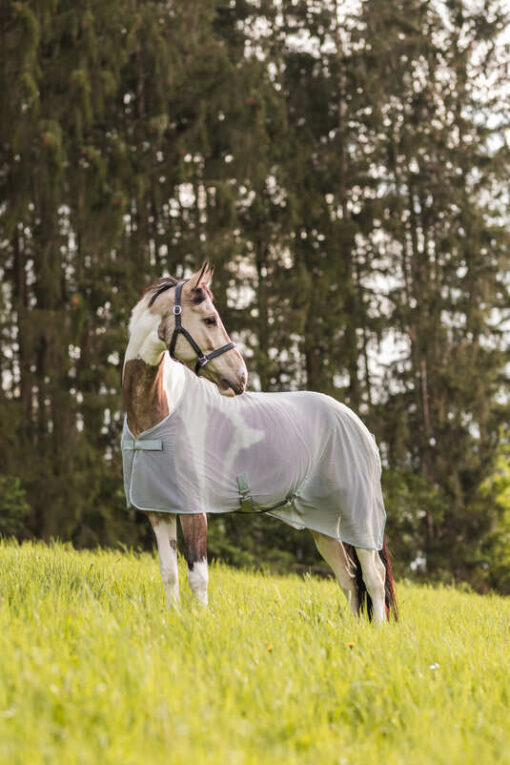 Orleans Fly Rug - Image 4