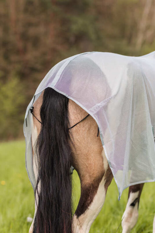Orleans Fly Rug - Image 2