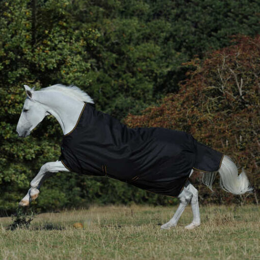 Irish Turnout Rug with High Neck, 300g