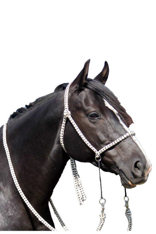 F.R.A. Nanouk Bitless Bridle (System 4) Cotton w/ Clip Reins - Image 3