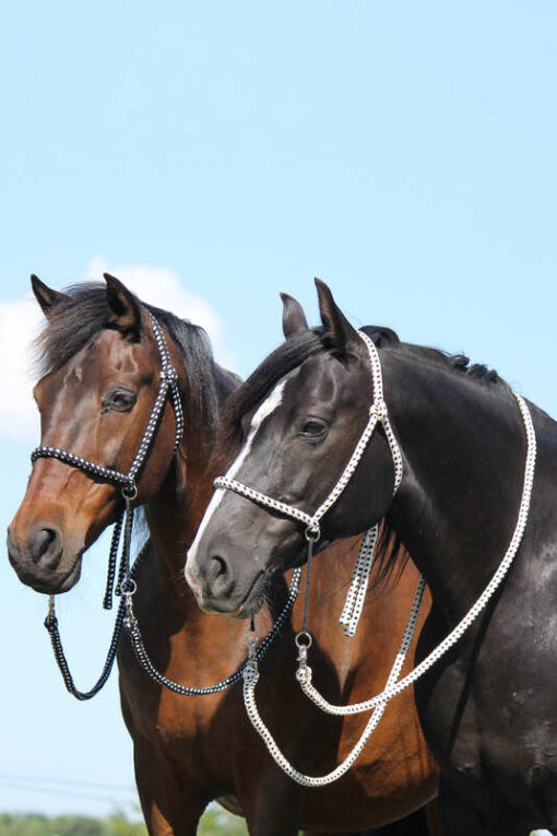 F.R.A. Nanouk Bitless Bridle (System 4) Cotton w/ Clip Reins - Image 2