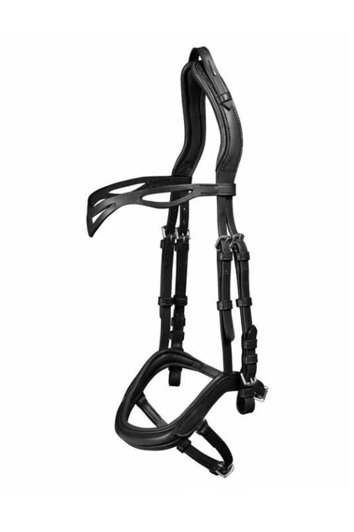 Anatomical Icelandic Bridle