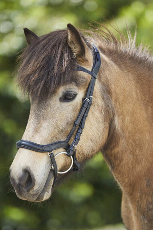 Anatomical Icelandic Bridle - Image 5