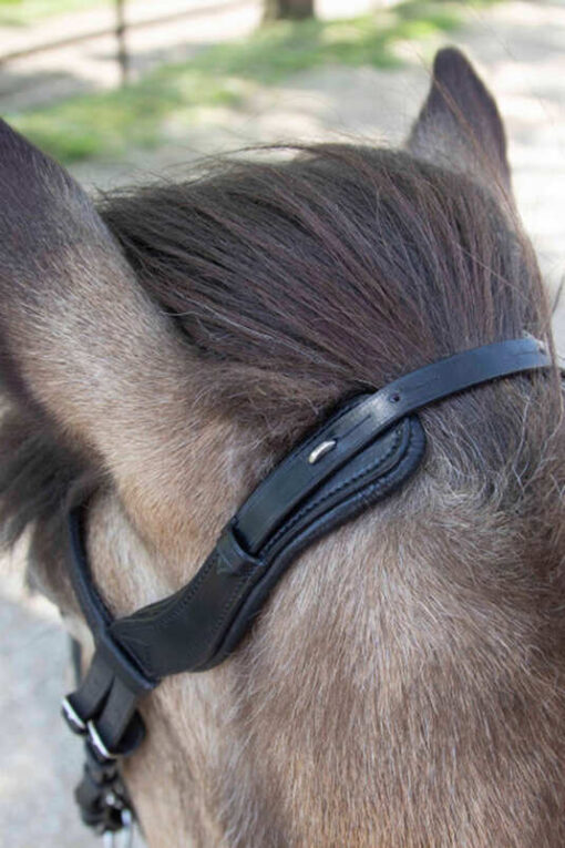 Anatomical Icelandic Bridle - Image 4