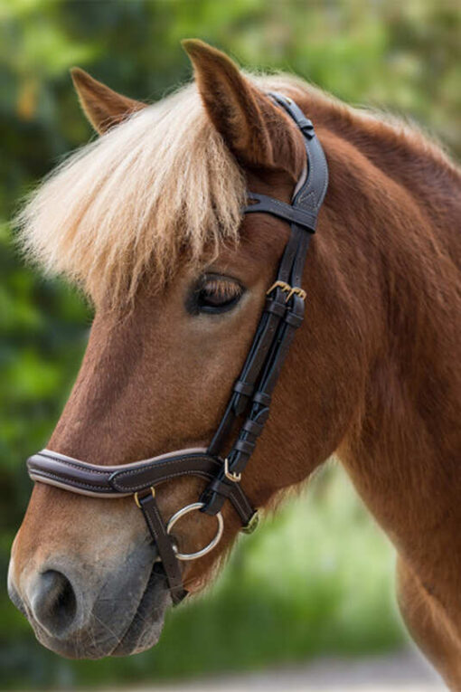 Anatomical Icelandic Bridle - Image 2
